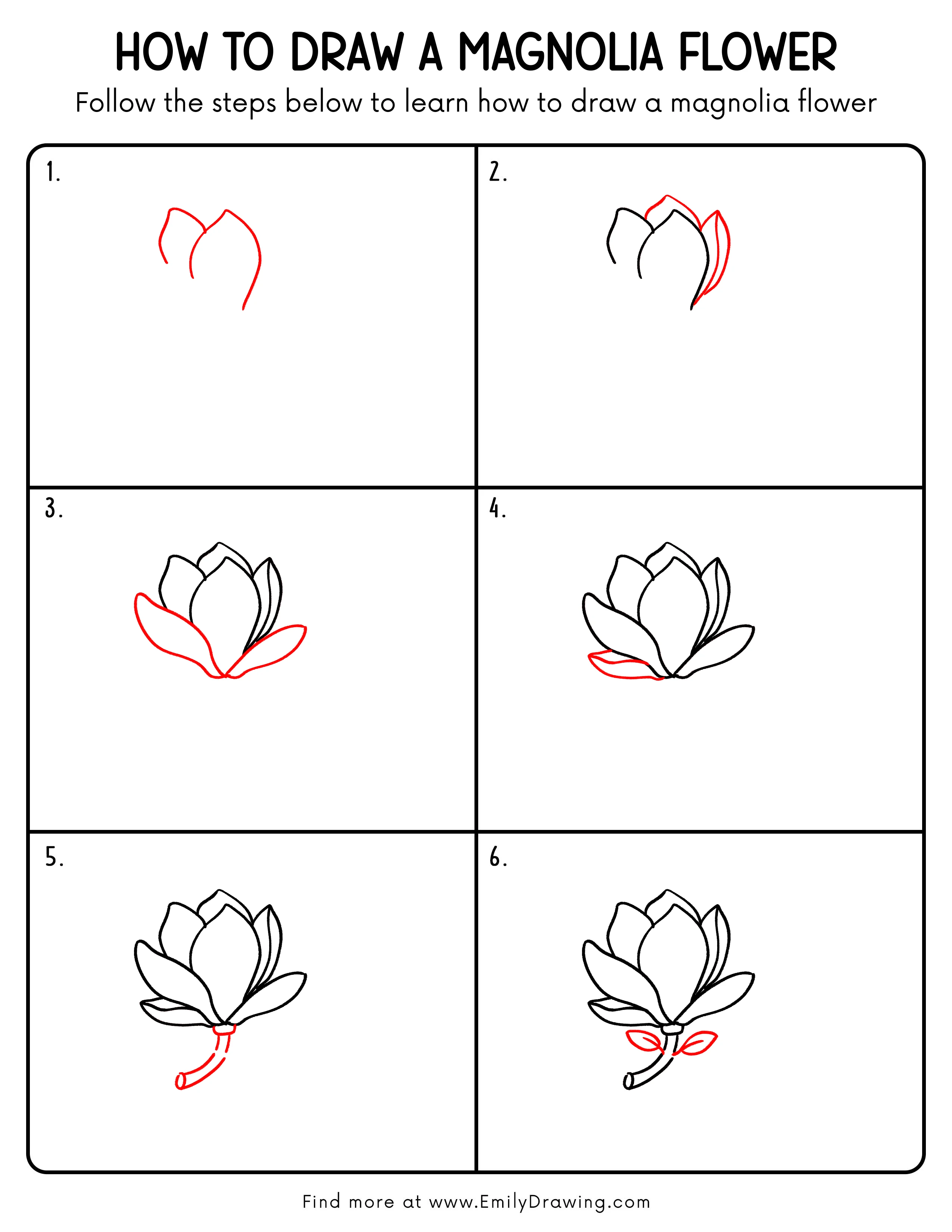 Printable Magnolia Flower Drawing Guide